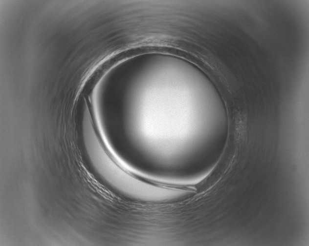 X0000086250926200703291403
