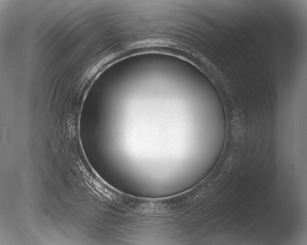 X0000086250929200703291403