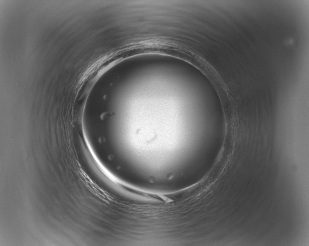 X0000086250930200703291403