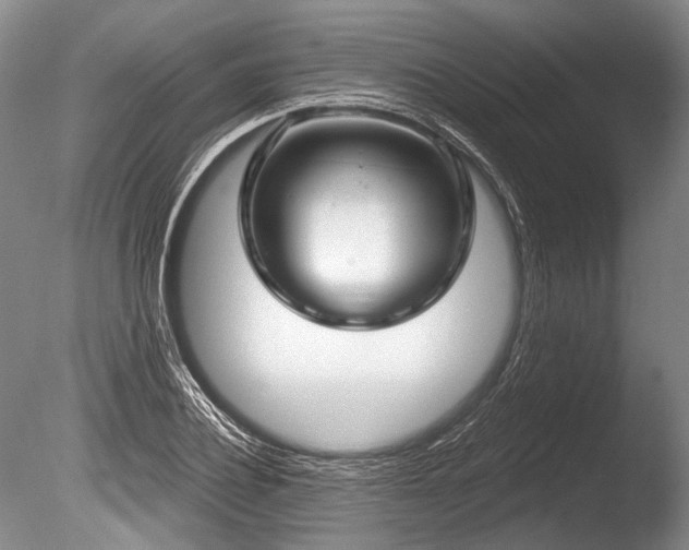 X0000086250932200703291403