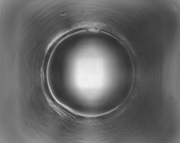 X0000086250936200703291403