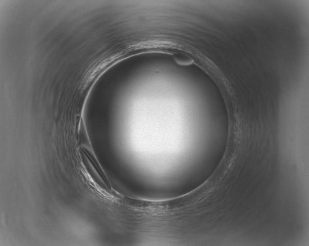 X0000086250937200703291403