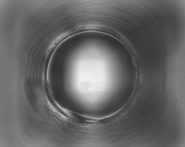 X0000086250938200703291403