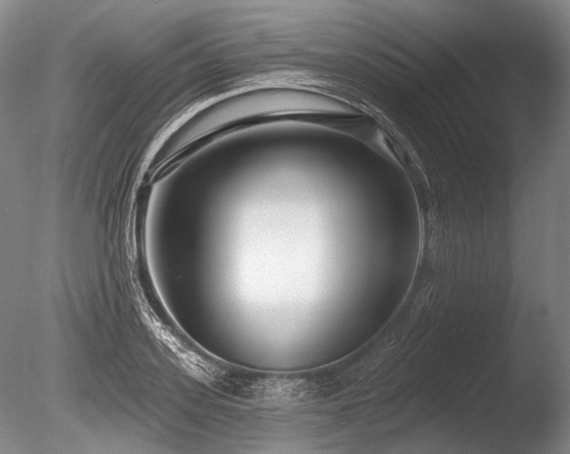 X0000086250939200703291403