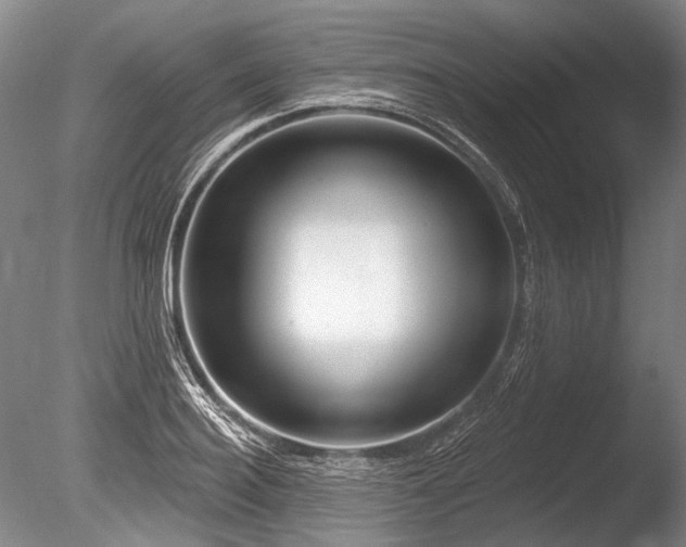 X0000086250940200703291403