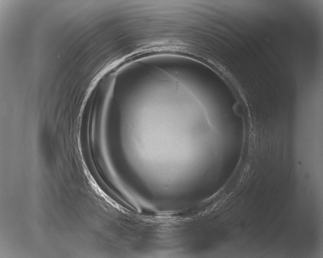 X0000086250941200703291403