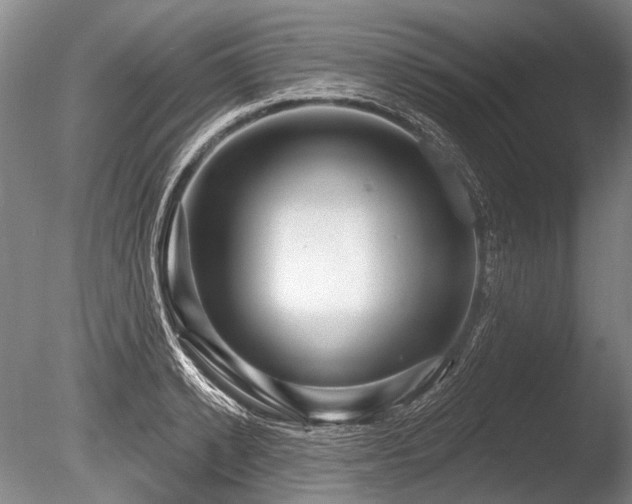 X0000086250942200703291403