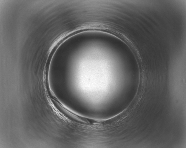 X0000086250944200703291403
