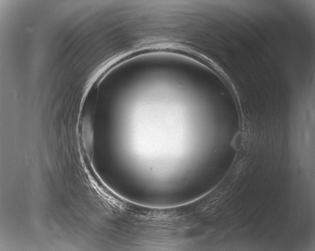 X0000086250951200703291403