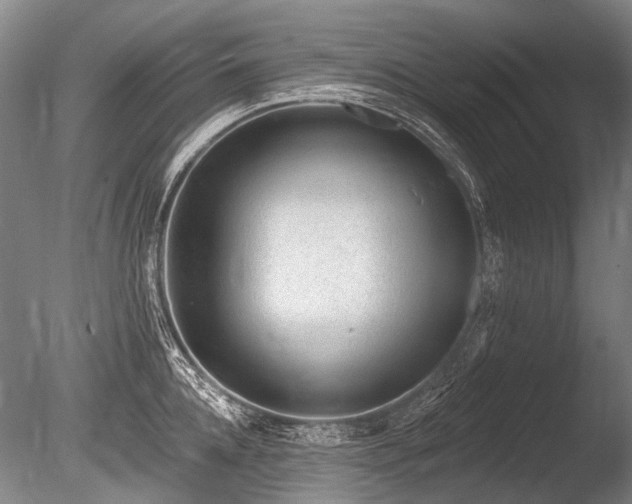 X0000086250952200703291403