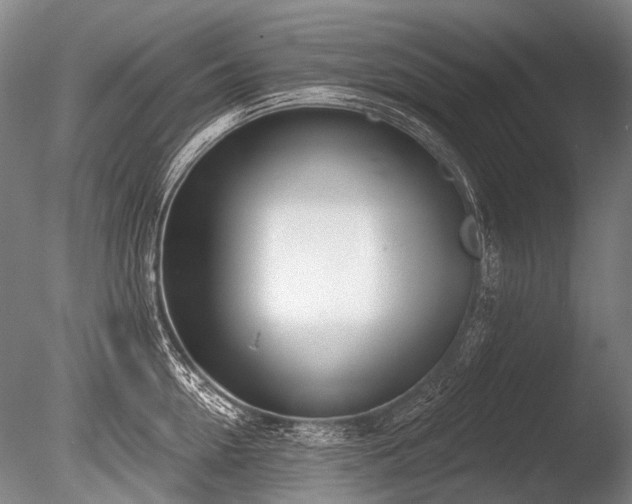X0000086250954200703291403