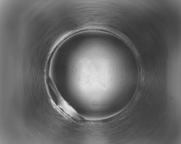 X0000086250958200703291403