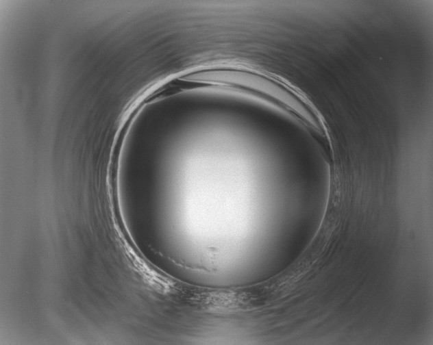 X0000086250959200703291403