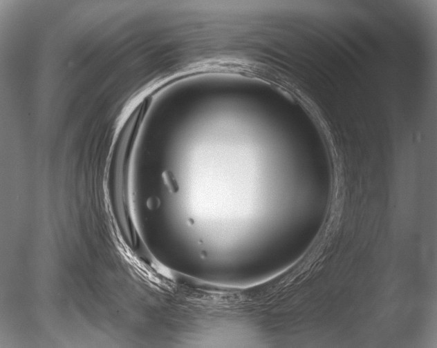 X0000086250960200703291403