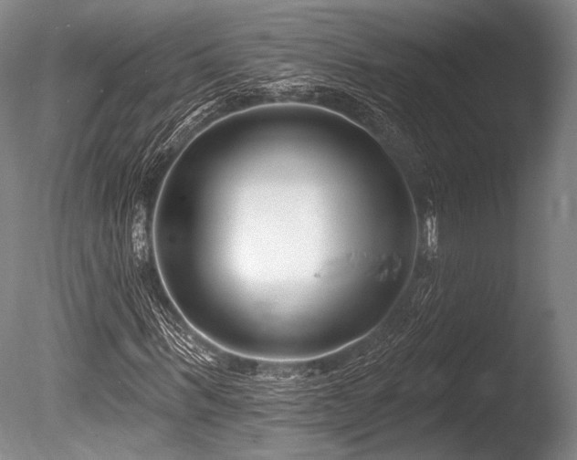 X0000086250963200703291402