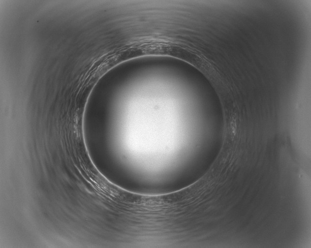 X0000086250964200703291402
