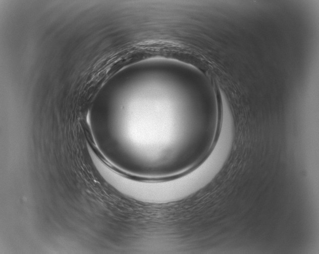 X0000086250965200703291402