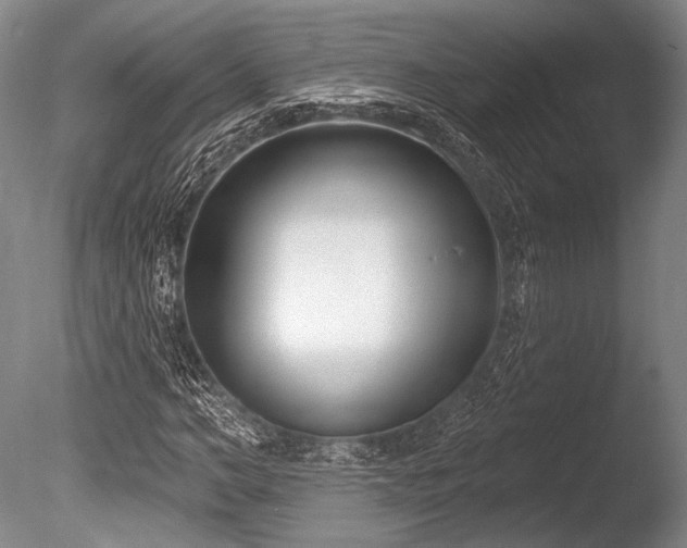 X0000086250966200703291402