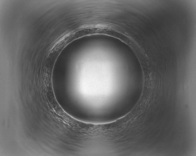 X0000086250967200703291402