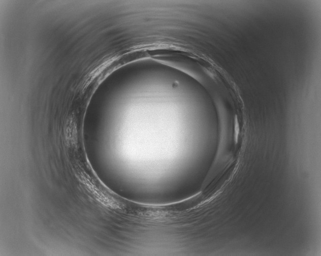 X0000086250969200703291402