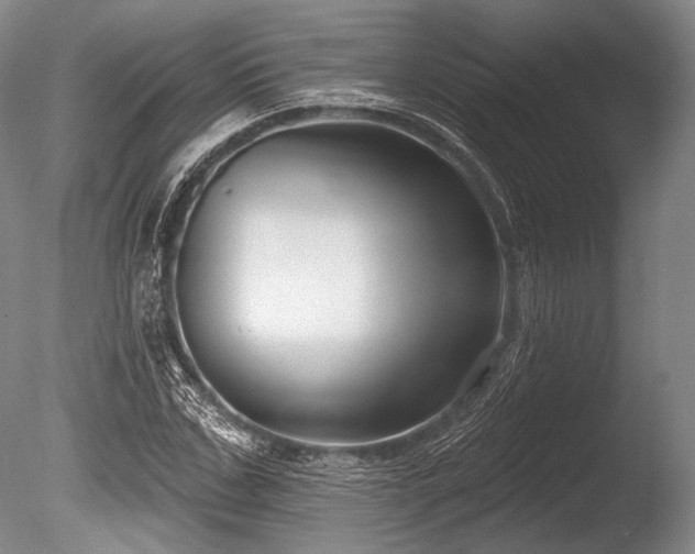 X0000086250971200703291402