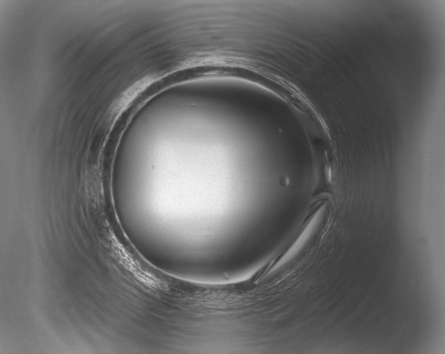 X0000086250972200703291402