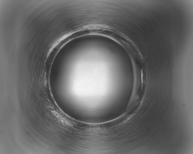 X0000086250973200703291402