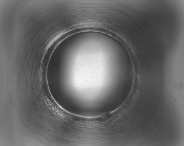 X0000086250975200703291402