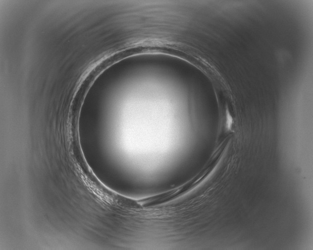 X0000086250976200703291402