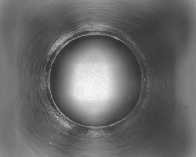 X0000086250978200703291402