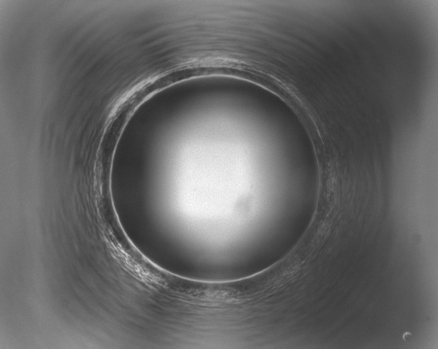 X0000086250979200703291402