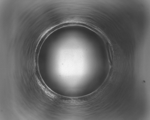 X0000086250980200703291402