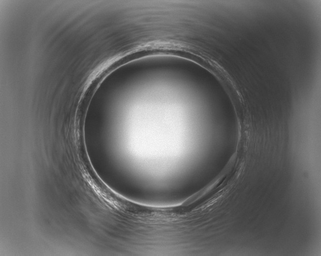 X0000086250981200703291402