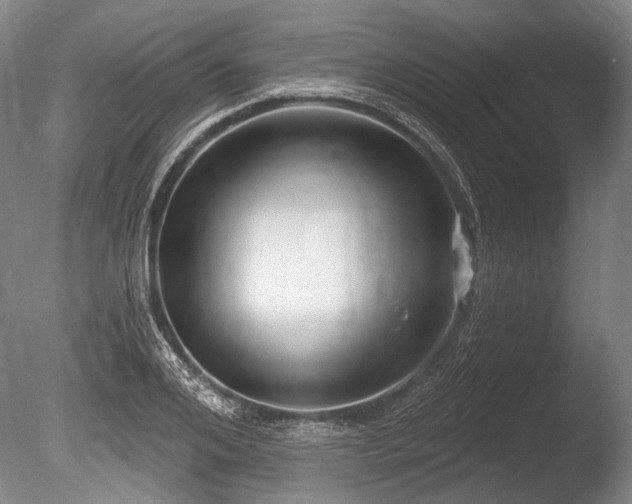 X0000086250984200703291402
