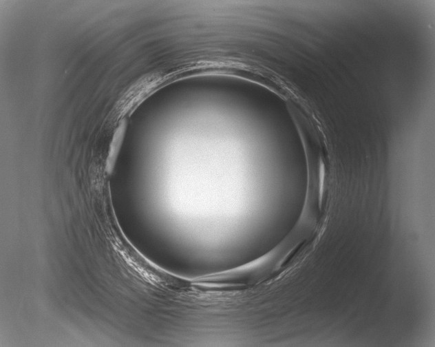 X0000086250985200703291402