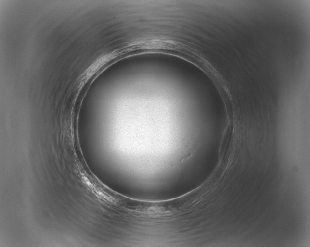X0000086250986200703291402