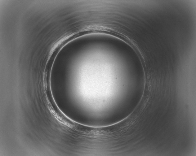 X0000086250987200703291402
