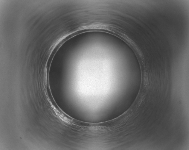 X0000086250988200703291402