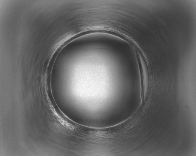 X0000086250991200703291402