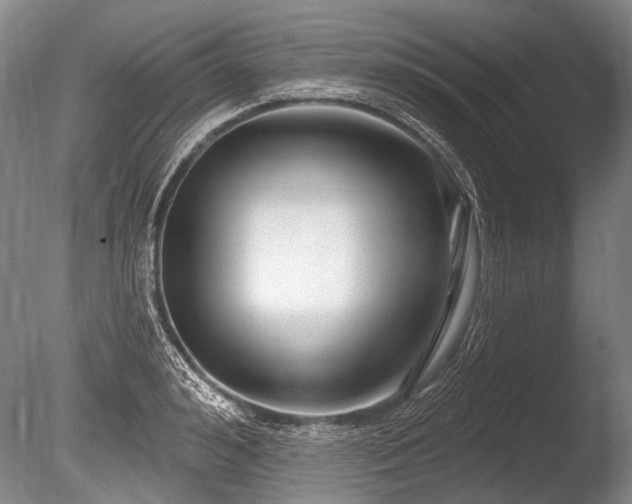 X0000086250992200703291402