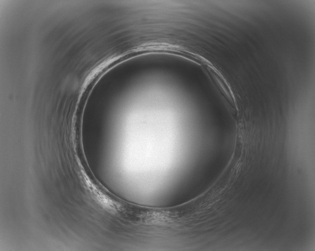 X0000086250995200703291402
