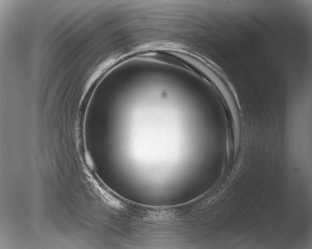 X0000086250997200703291402