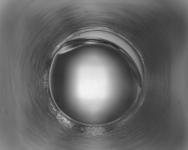 X0000086251001200703291402