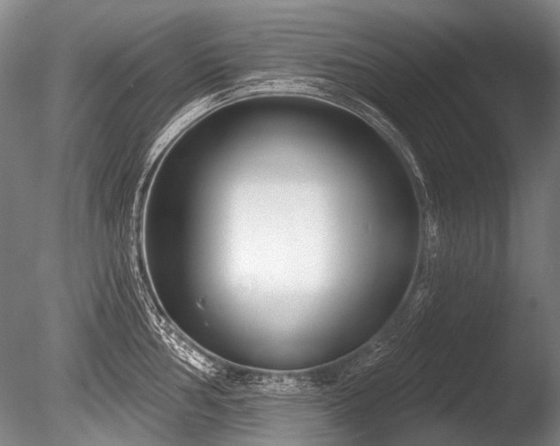 X0000086251002200703291402