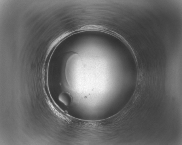 X0000086251003200703291402