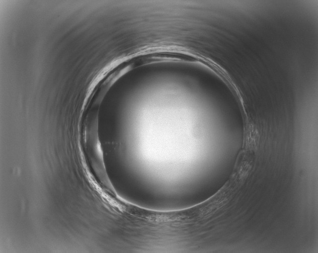 X0000086251005200703291401