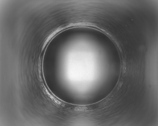 X0000086251006200703291401