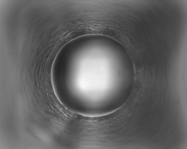 X0000086251009200703291401