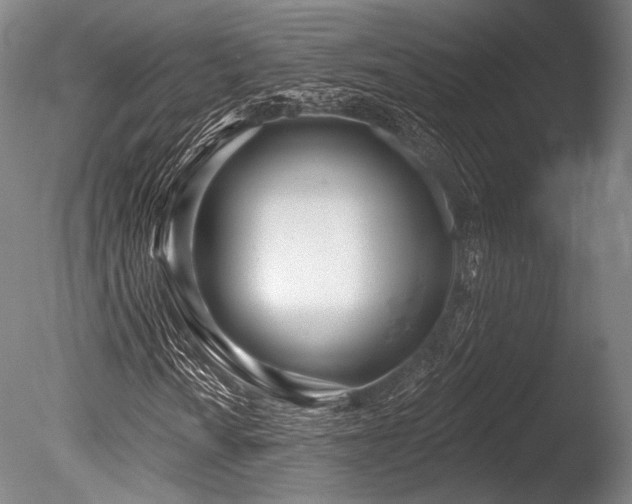 X0000086251010200703291401