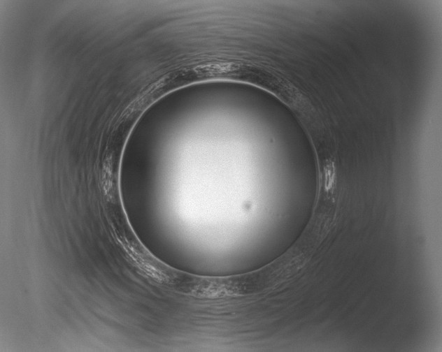 X0000086251011200703291401